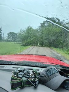 A red vehicle is stopped on a road with a large fallen tree blocking the way. The windshield shows streaks of rain. On the dashboard, there are a cap, binoculars, and a green-banded lanyard. The sky is overcast and the surroundings are lush and green.