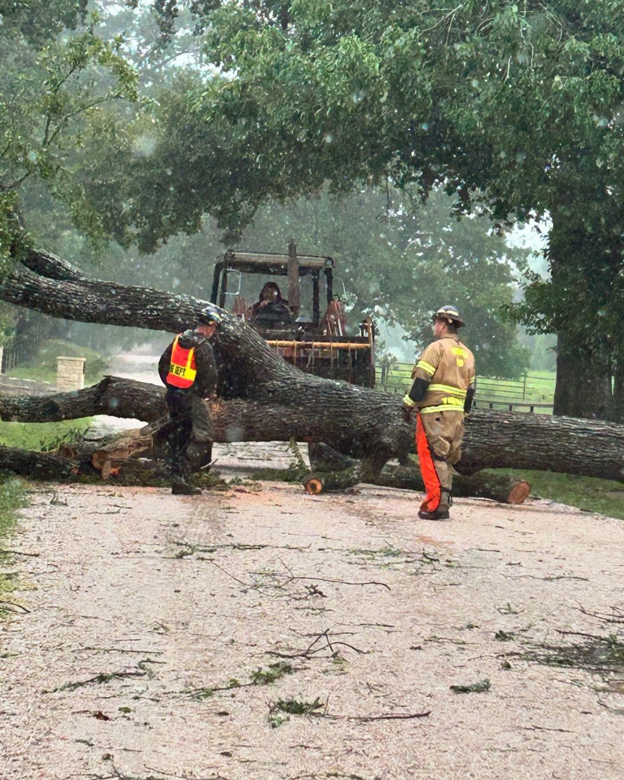 Two emergency responders in safety gear assess a large fallen tree blocking a gravel road. One person uses a chainsaw to cut branches while a tractor is positioned behind the tree. The scene is outdoors with several trees and foliage visible in the background.