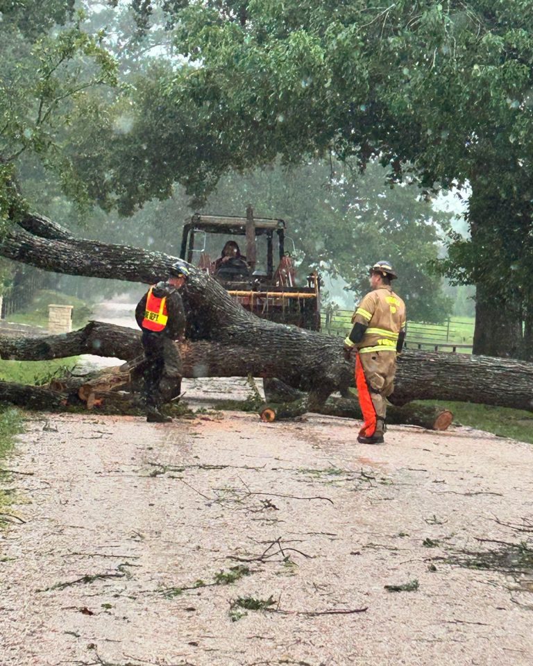 Two emergency responders in safety gear assess a large fallen tree blocking a gravel road. One person uses a chainsaw to cut branches while a tractor is positioned behind the tree. The scene is outdoors with several trees and foliage visible in the background.