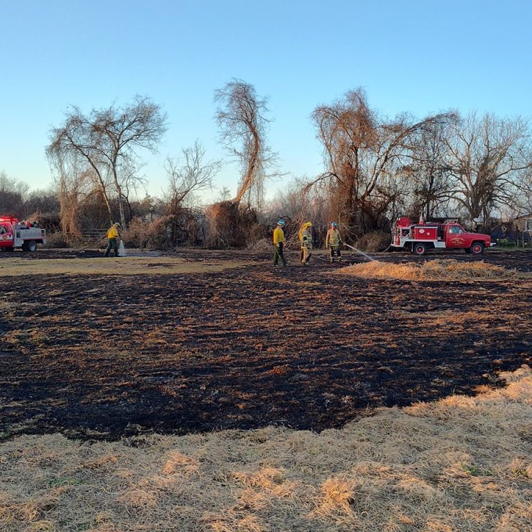 Firefighters in yellow uniforms work at a burnt field with red fire trucks nearby. The field is charred, with patches of dry grass. Leafless trees in the background stand against a clear blue sky.