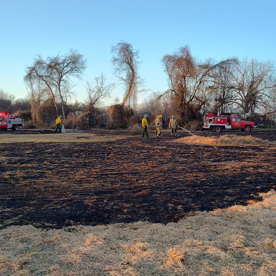 Firefighters in yellow uniforms work at a burnt field with red fire trucks nearby. The field is charred, with patches of dry grass. Leafless trees in the background stand against a clear blue sky.